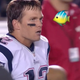 Illustration for article titled And now, Tom Brady gets angry at a fish